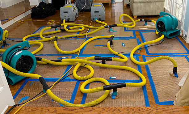 Professional Sewage Cleanup technician working in Greenville, NC
