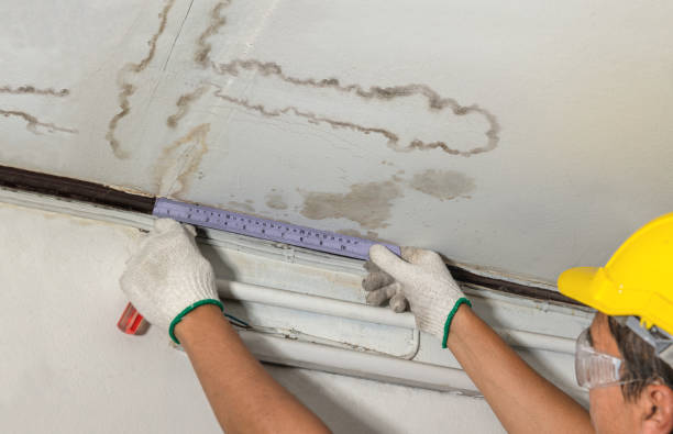 Affordable Water Damage Repair solutions in Greenville, NC
